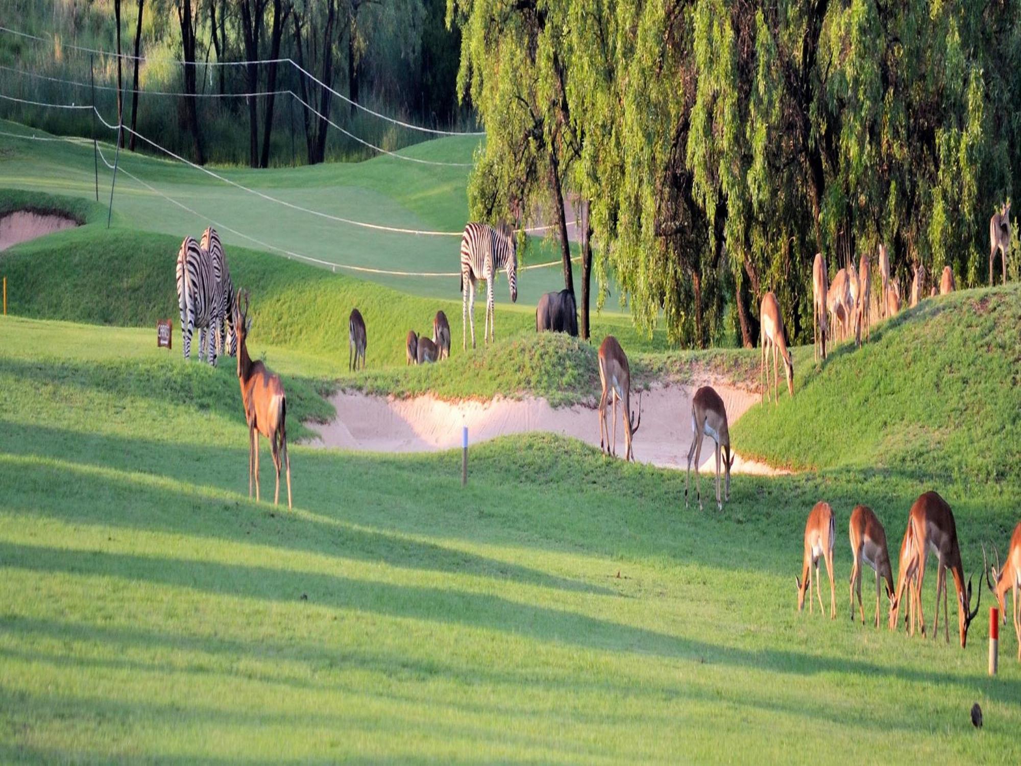 Вілла Elements Private Golf Reserve Бела-Бела Екстер'єр фото